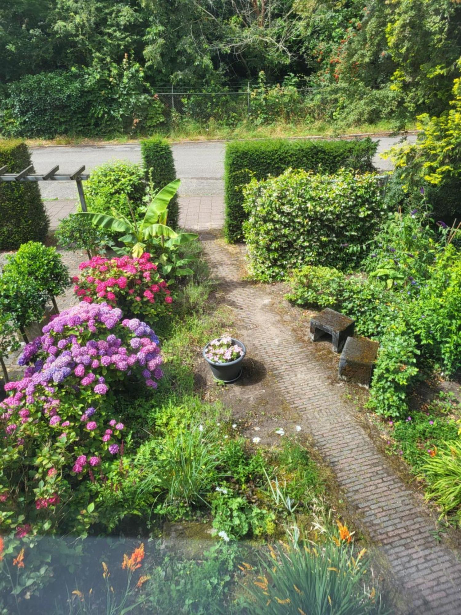 My-A-Mi-Go-S Bed & Breakfast Muiderberg Luaran gambar